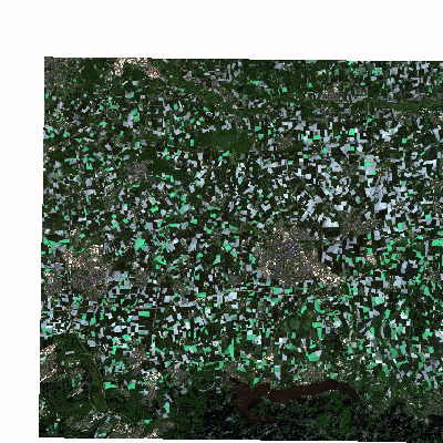 Export Image